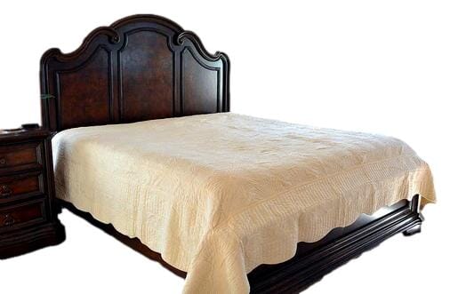 Tache Super Soft Cream Scalloped Good Vibration Quilted Fleece Bedspread Set (DXJ109041-3)